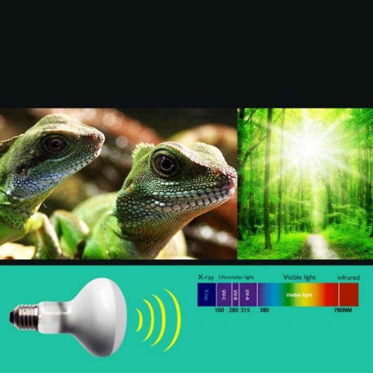 Lampe chauffante halogène UVA & UVB