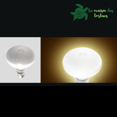 Lampe chauffante halogène UVA & UVB