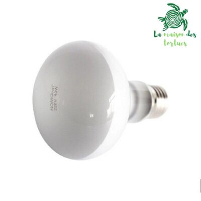 Lampe chauffante halogène UVA & UVB