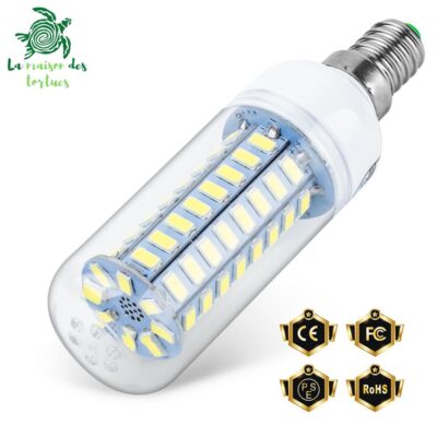 Ampoule à LED