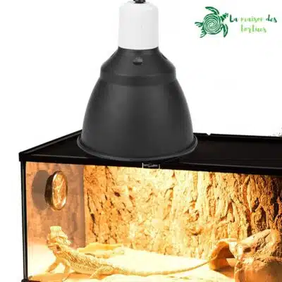 Support de lampe à pince