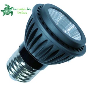 Ampoule LED
