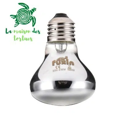 Ampoule lumière du jour