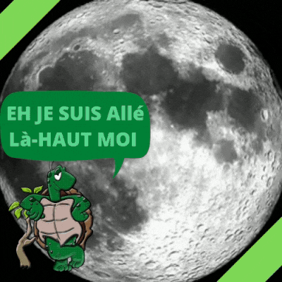 Tortue dans l'espace