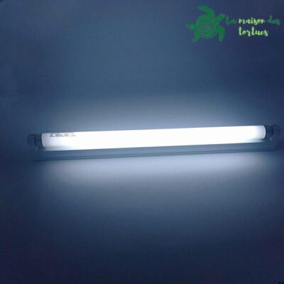 Tube linéaire fluorescent |10.0 UVB