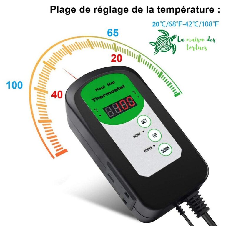 Thermostat pour reptile