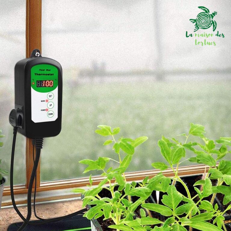 Thermostat pour reptile