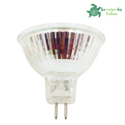 Ampoule halogène lumière blanche