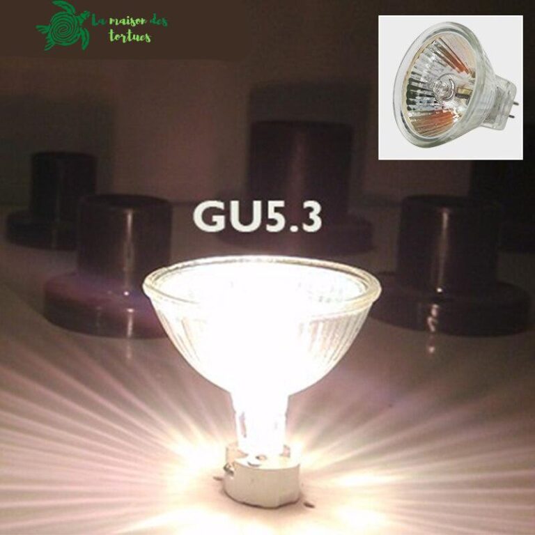 Ampoule halogène lumière blanche