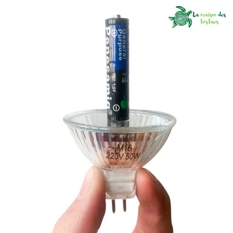 Ampoule halogène lumière blanche