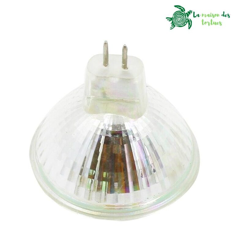 Ampoule halogène lumière blanche