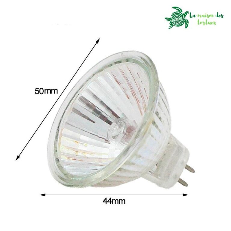 Ampoule halogène lumière blanche