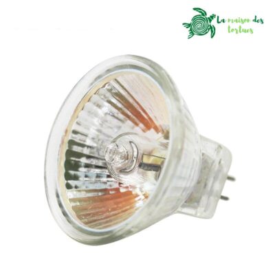 Ampoule halogène lumière blanche