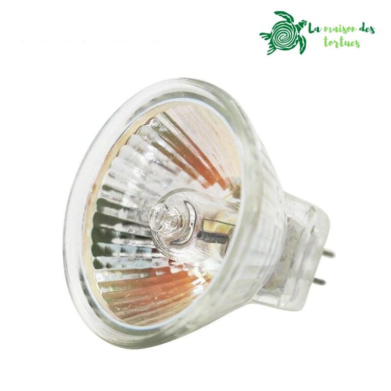 Ampoule halogène lumière blanche