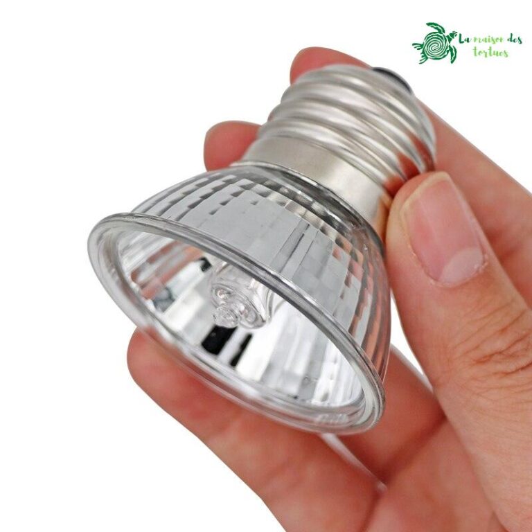 Lampe chauffante UVA UVB