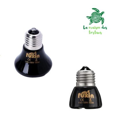 Lampe céramique terrarium