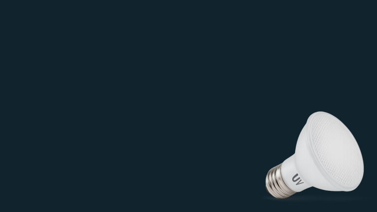 Début de charte graphique LMDT (1)