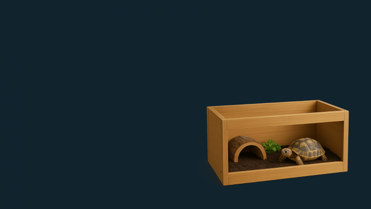 Début de charte graphique LMDT